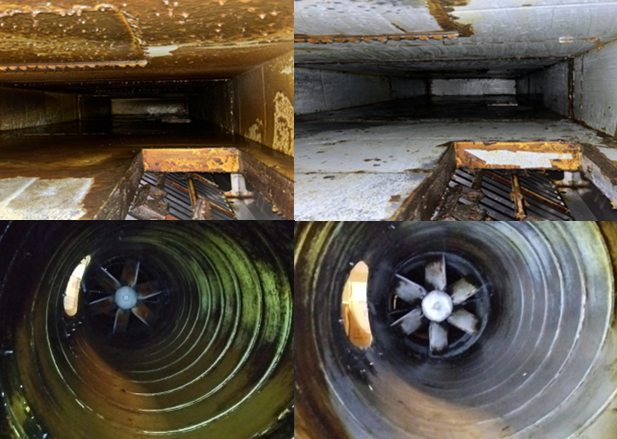 Before and After images